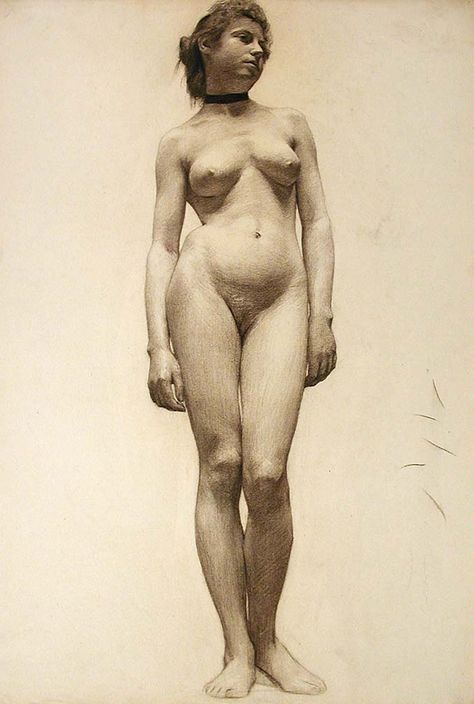 Adolph Robert Shulz (1869-1963)    wetcanvas.com Human Figure Drawing, Academic Art, Drawing Studies, Female Art Painting, Figure Sketching, Figure Drawing Reference, Body Drawing, Anatomy Art, Human Anatomy