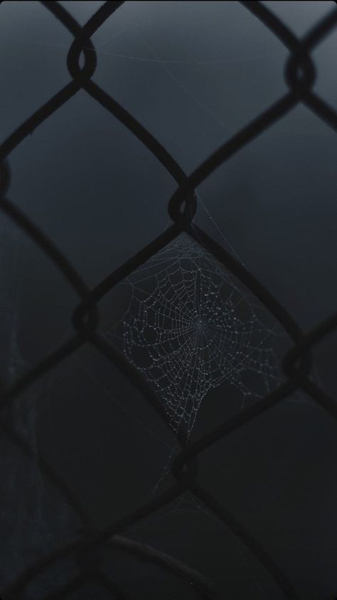 aesthetic wallpaper Spider Wallpaper Aesthetic, Spider Web Aesthetic, Spider Web Wallpaper, Aesthetic Spider, Spider Wallpaper, Web Aesthetic, Web Wallpaper, Wallpaper Aesthetic, Spider Web