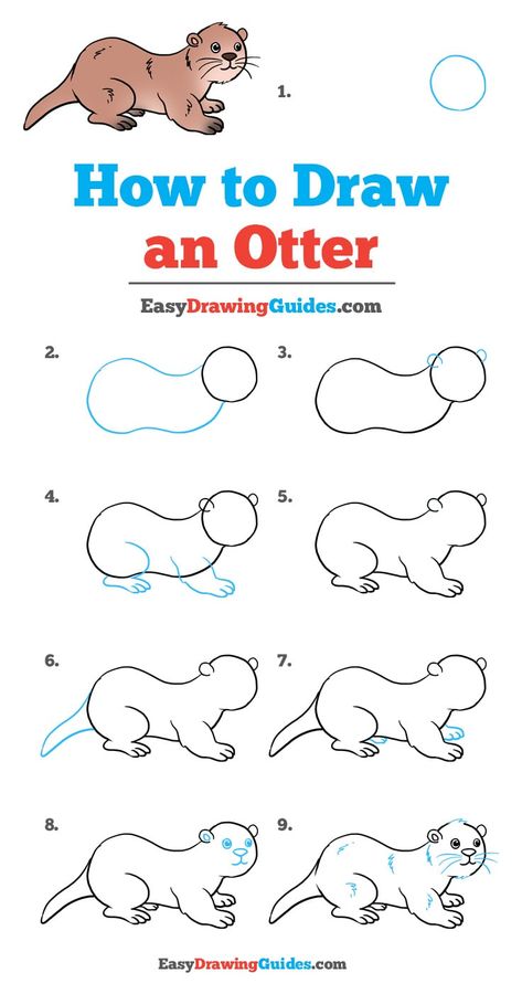 Learn How to Draw an Otter: Easy Step-by-Step Drawing Tutorial for Kids and Beginners. #Otter #DrawingTutorial #EasyDrawing See the full tutorial at https://easydrawingguides.com/how-to-draw-an-otter/. Otter Step By Step Drawing, How To Draw An Otter Step By Step, How To Draw Otter, Otter Painting Easy, How To Draw An Otter, Otter Drawing Sketches, How To Draw Animals Step By Step, Diy Otter, Draw An Otter