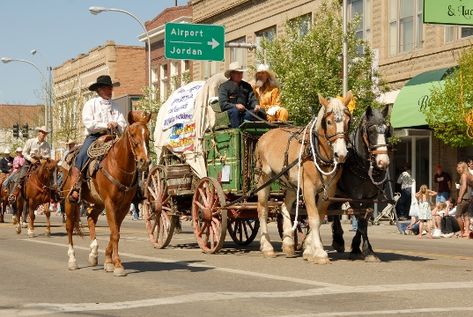 Miles City Montana, Western Town, The Horse, America Travel, Wyoming, Small Towns, Jigsaw Puzzle, Family Travel, Montana