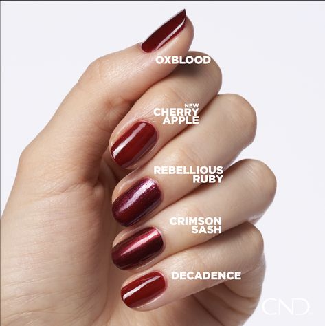 Meet Cherry Apple from our new #CNDAutumnAddict collection, a rich, deep red. Available in CND Shellac and CND Vinylux. Mini Manicure, Cnd Shellac Colors, Shellac Nail Colors, Shellac Nail Designs, Cnd Shellac Nails, Shellac Colors, Cnd Nails, Cherry Apple, Cnd Vinylux