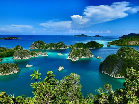 Raja Ampat_West Papua Raja Ampat Landscape, Raja Ampat Wallpaper, Raja Ampat Aesthetic, Carribean Sea, Hd Landscape, India Travel Places, Island Wallpaper, West Papua, Raja Ampat