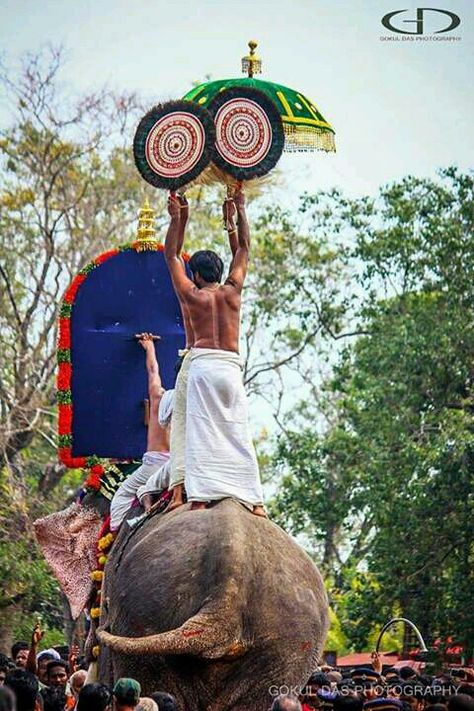 Trissur pooram /2017at kerala God's own country. Follow me . Sfi Kerala Wallpaper, Kerala Elephant Photography Hd, Thekkady Kerala Photography, Pooram Kerala Hd, Kerala Sightseeing, Kerala Tourism, South India, Abstract Iphone Wallpaper, Kerala