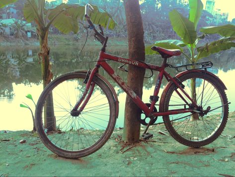 Biking Aesthetic, Bicycle Aesthetic, 1980s Aesthetic, Bicycle Photography, Lake Aesthetic, Bike Aesthetic, Drawing Reference, Stranger Things, Einstein