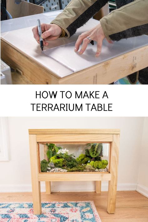 This terrarium table means we get to enjoy mossy lush plants all the time inside a functional piece of furniture. Table Terrarium, Urban Outfitters Room, Terrarium Table, Build A Terrarium, Lush Plants, Moss Terrarium, Terrarium Diy, Rock Decor, Unique Tables