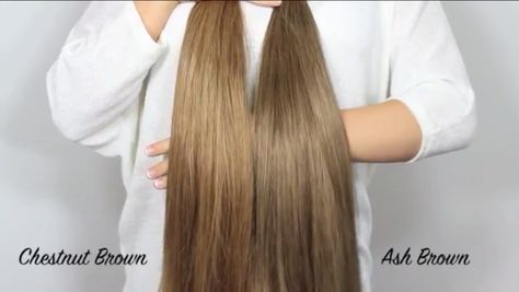 Bellami Extensions:  Chestnut Brown vs. Ash Brown Bellami Hair Extensions Walnut Brown, Bellami Ash Brown Extensions, Ash Brown Color, Beliage Hair, Balayage Hair Copper, Ash Brown Balayage, Balayage Hair Ash, Balayage Hair Caramel, Ash Brown Hair