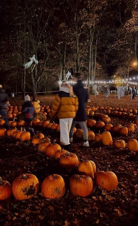 Fall Vibes With Boyfriend, Halloween Family Aesthetic, Fall Dates For Couples Aesthetic, Date Ideas Halloween, Autumn Relationship Aesthetic, Halloween Dates Ideas, Boyfriend Fall Aesthetic, Pumpkin Patch Date Aesthetic, Aesthetic Fall Couple Pictures