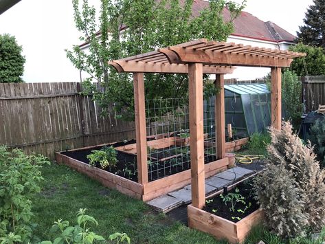 Garden arbor with raised bed. All connected with automated watering Raised Garden Beds With Pergola, Raised Garden Beds With Arbor, Raised Garden Bed With Arbor, Garden Arbor Ideas, Diy Garden Arbor, Arbor Ideas, Raised Garden Bed Plans, Garden Arbor, Garden Area