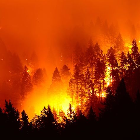 Are California’s Wildfires a Sign of the Last Days? Signs Of End Times, California Wildfire, Nuclear Art, Dystopian Films, California Wildfires, Wild Fire, Forest Fire, Natural Resources, Battlefield