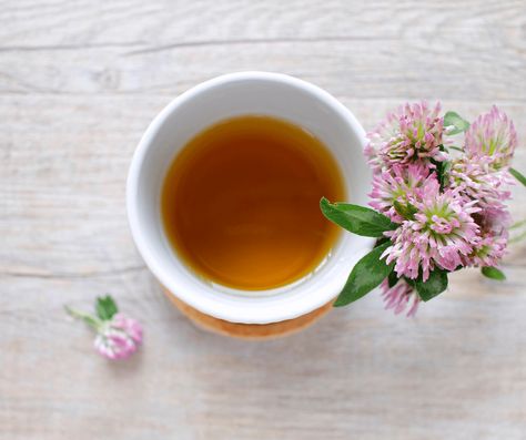 Tea For A Cold, Hair Regrowth Oils, Tea Infusion, Orange Sweet Potatoes, Herbal Store, Lemongrass Tea, Broccoli Sprouts, Red Clover, Herbal Drinks