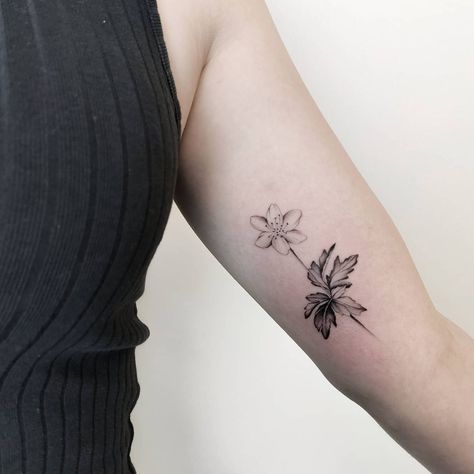 Wood anemone. Thank you Filippa | Instagram Anemone Tattoo, Dad Drawing, Wood Anemone, Red Geraniums, Anemone Flower, Floral Botanical, Anemone, Geraniums, Botanical Art