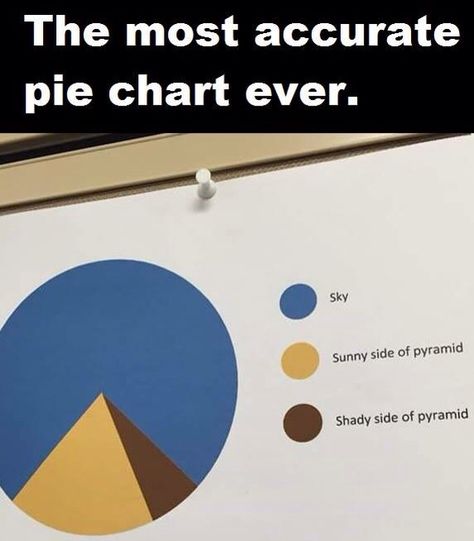 Funny pie chart Funny Charts, Pie Charts, Send Help, Reality Check, Really Funny Memes, Funny Pins, Bones Funny, Funny Posts, Funny Cute