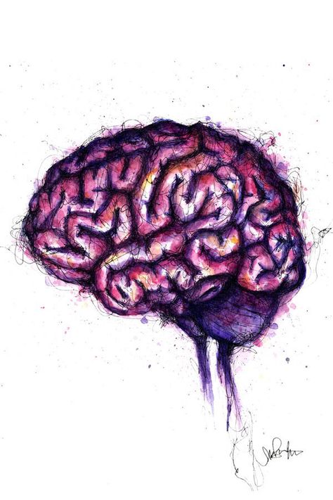 Cool brain watercolor and ink painting. Art print 5x7 8x10, perfect for doctor office wall art, graduation gift, present for neuron student or science nerd. // by 1flychicken creations #etsy #anatomy #neurology #psychology Miss You Artwork, Psychological Paintings, The Brain Art, Anatomy Pictures, Brain Pictures, Brain Painting, Neurology Art, Brain Drawing, Brain Illustration