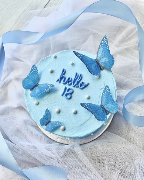 🦋Sweet and simple 18th birthday mini🦋 #sammicakes #cake #minicake #bento #lunchbox #18thbirthday #birthday #butterfly #blue #capetown #capetowncake #cakedesign #cakedecor #giftidea #partytheme Bento Cake 18th Birthday, Simple 18th Birthday, Birthday Butterfly, Bento Cakes, Bento Lunchbox, My Favourite Teacher, Butterfly Blue, Bento Cake, Blue Cakes