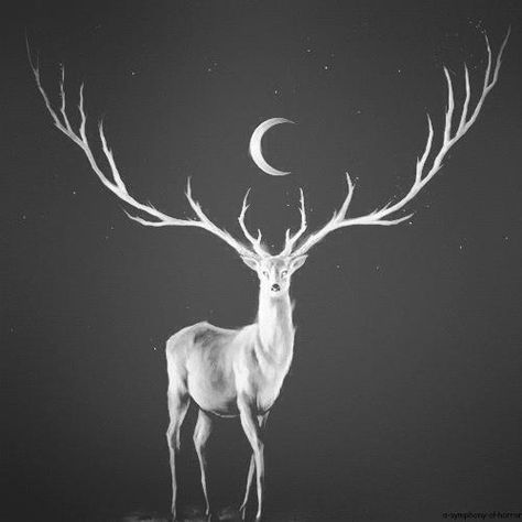 white deer stag | White deer | The Great White Stag Fantasy Stag, Wood Tattoo, Inktober 2023, Glow Art, White Deer, Charcoal Drawings, Spirit Animals, Skull Painting, Glass Box