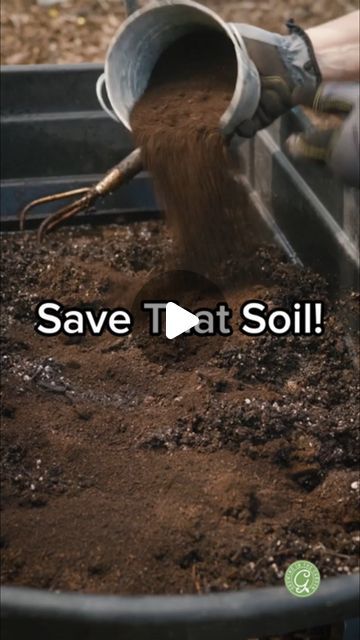 Angela Judd | Can you reuse old potting soil? Yes, if you follow these steps. 

At the end of the growing season, the soil in containers can become... | Instagram Plant Soil Mixture, Soil Mixture, Gardening Videos, The Soil, Plant Growth, Potting Soil, Garden And Yard, Container Gardening, Save Money