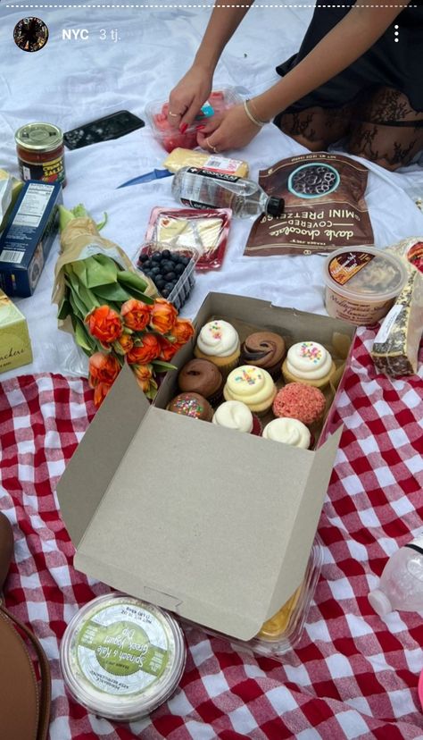 Picnic Aesthetic Food, Central Park Aesthetic, Central Park Picnic, Aesthetic Food Photography, Chocolate Greek Yogurt, Nyc Central Park, Park Aesthetic, New York Vibes, Aesthetic Nyc