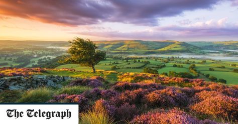 Peak District National Park, North York Moors, Best Pubs, Peak District, Cool Landscapes, Rolling Hills, The Peak, Great Outdoors, The Uk