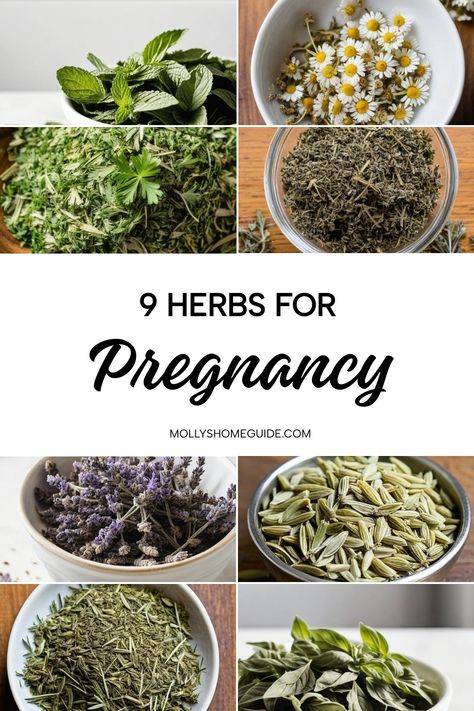 Explore the benefits of using safe herbs during pregnancy to support your health and well-being. Learn about the best herbs for pregnancy that can help with nausea, promote fertility, and aid in postpartum recovery. Discover natural remedies for pregnancy that are safe and effective. Incorporate medicinal herbs for pregnancy into your routine to experience their therapeutic properties. Be mindful of herbs to avoid during pregnancy while enjoying the many benefits that herbs for breastfeeding can Herbs For Pregnant Women, Herbs For Fertility For Women, Nausea Remedies Pregnancy, Herbs For Pregnancy, Pregnancy Superfoods, Help With Nausea, Pregnancy Herbs, Herbs For Fertility, Nausea Pregnancy