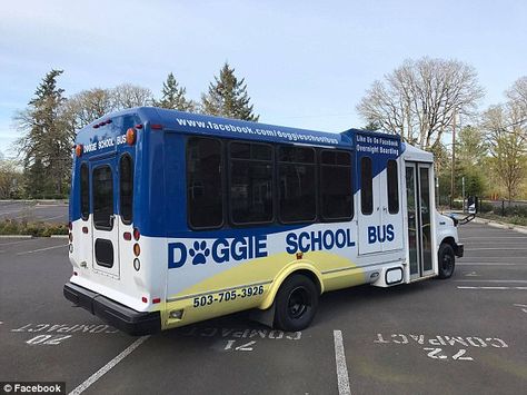 The Doggie School Bus - Pup is so excited to go to school! Dog Daycare Design, Pet Daycare, Dog Daycare Business, Dog Boarding Ideas, Indoor Dog Park, Dog Boarding Facility, Dog Boarding Kennels, Dog Training School, Pet Sitting Business