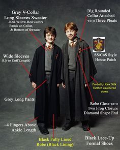 Lockhart Harry Potter, Harry Potter Costumes, The Chamber Of Secrets, Harry Potter Cosplay, Harry Potter Ron, Buku Harry Potter, Harry Potter And The Chamber Of Secrets, Kenneth Branagh, Harry Potter Halloween