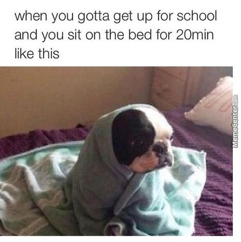 School Memes, Funny Animal Jokes, Clipuri Video, Relatable Post Funny, Awkward Moments, Really Funny Joke, Some Funny Jokes, Funny Relatable Quotes, Funny Puns