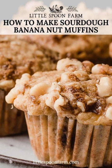 Banana Nut Muffins Recipe, Little Spoon Farm, Nut Muffins Recipe, Sourdough Banana, Sourdough Muffins, Recipe Using Sourdough Starter, Farm Recipes, Nut Muffins, Jumbo Muffins