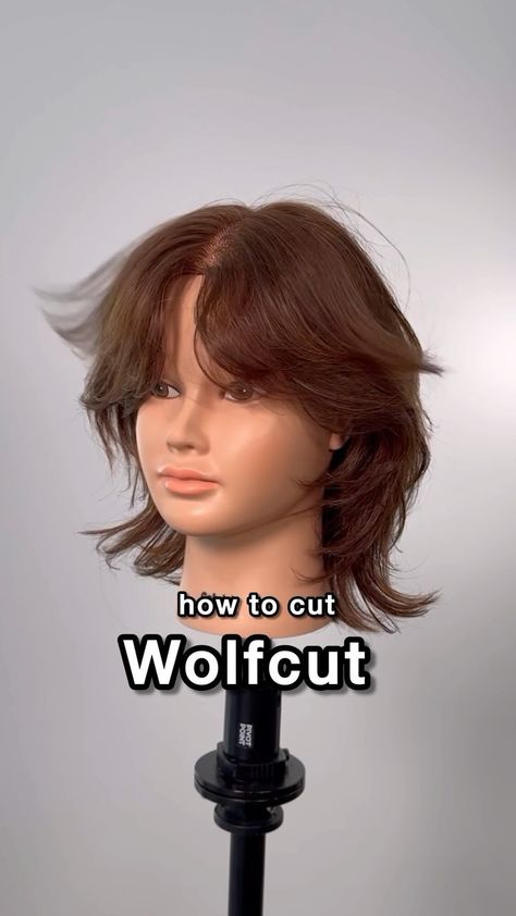 Instagram Hush Cut On Short Hair, Wolf Cut Bangs Tutorial, How To Do Wolf Cut Hair, Wolf Cut Straight Hair Short, Short Hair Wolf Cut With Bangs, How To Cut Layers In Short Hair, Short Wolfcut With Curtain Bangs, Wolf Cut On Short Hair, Wolfcut Curtain Bangs