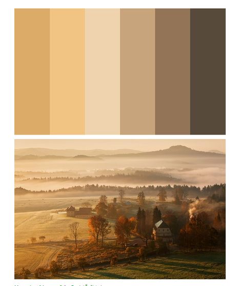 Color Schemes Colour Palettes, Color Palate, Theme Color, Design Seeds, Color Balance, Color Studies, Colour Board, Colour Palettes, Colour Schemes