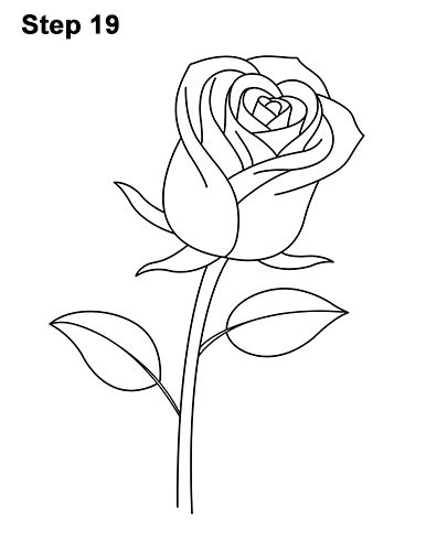 Rose Drawing 19 Bouquet Of Roses Drawing Simple, Drawn Roses Simple, Easy Rose Drawing, Rose Drawing Simple, Rose Outline, Geometric Rose, Easy Drawings For Beginners, Flower Drawing Tutorials, Rose Drawing