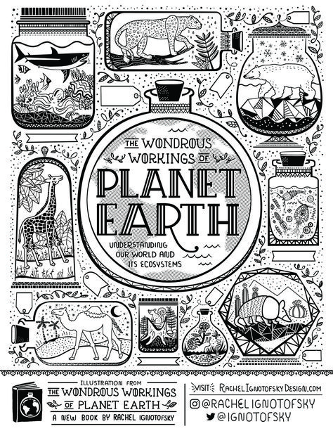 Earth Day Activities and Printables | Brightly Rachel Ignotofsky, Science Coloring Pages, Earth Day Printables, Steam Lessons, Elementary School Science, Library Crafts, Earth Day Activities, Science Curriculum, Learning Science