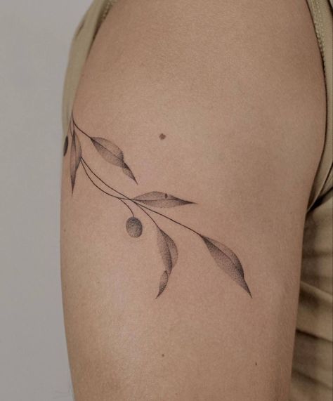 Delicate Olive Branch Tattoo, Olive Branch Collar Bone Tattoo, Olive Vine Tattoo, Olive Leaves Tattoo Design, Tattoo Olive Branch, Leave Tattoo, Manchester Tattoo, Small Nature Tattoo, Tatts Ideas