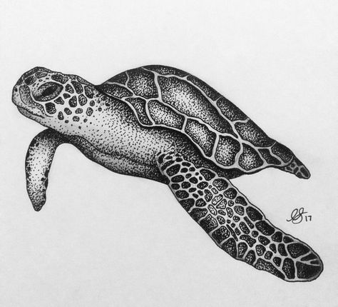 Diario Sea Tattoos, Sea Turtle Drawing, Stippling Drawing, Sea Turtle Tattoo, Turtle Tattoo Designs, Dotted Drawings, Maori Tattoos, Sea Tattoo, Turtle Drawing