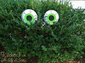 Boogeyman Bush Eyes | AllFreeKidsCrafts.com Jar Decoration Ideas, Easy Outdoor Halloween Decorations, Yard Crafts, Dollar Store Halloween Decorations, Halloween Diy Outdoor, Halloween Decor Diy, Hallowen Ideas, Spooky Eyes, Homemade Halloween Decorations