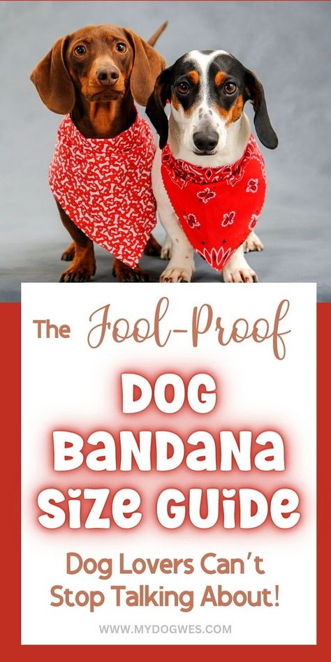 No Sew Dog Bandana, Sew Dog Bandana, Dog Accesories, Dog Grooming Tips, Grooming Tips, Guide Dog, Grooming Routine, Dog Bandanas, All About Animals