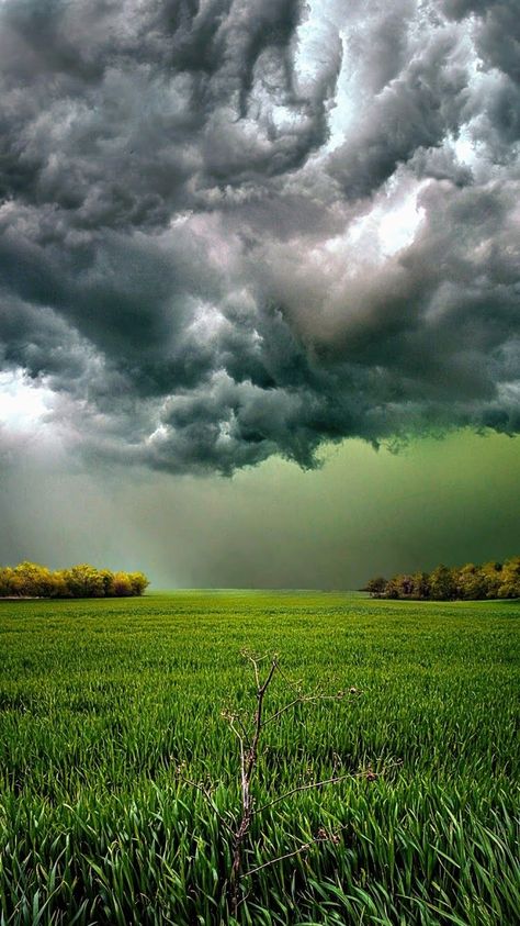 Beautiful Nature Photography, Wild Weather, What A Beautiful World, Surreal Photos, Image Nature, Love Animation Wallpaper, Fantasy Places, Beautiful Locations Nature, Dark Skies