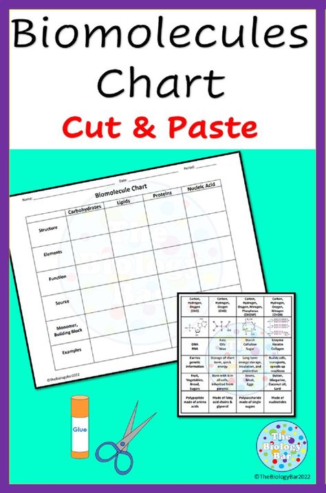 Biomolecules and Macromolecules require a lot of practice to remember all the characteristics. This biomolecule formative assessment can be used as a manipulative or individual cut and paste worksheet for biology students. The chart includes carbohydrates, lipids, proteins and nucleic acids. Cut And Paste Worksheets, Quick Energy, Nucleic Acid, Formative Assessment, Do The Work, Cut And Paste, Study Guide, Speed Up, The Four