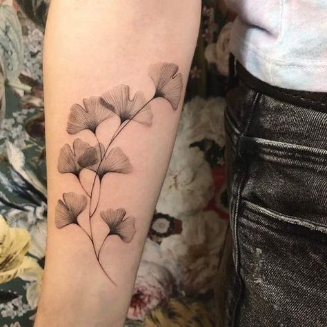 Ginko Branch Tattoos, Gingko Branch Tattoo, Ginkgo Leaf Tattoos, Gingko Tree Tattoo, Ginkgo Branch Tattoo, Ginkgo Tree Tattoo, Ginkgo Leaves Tattoo, Ginko Biloba Tattoo, Botanical Shoulder Tattoo