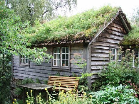 Turf Roof, Grass Roof, Living Roofs, Roof Architecture, Cottage Cabin, Little Cabin, Popular Mechanics, Diy Pergola, Tiny House Cabin