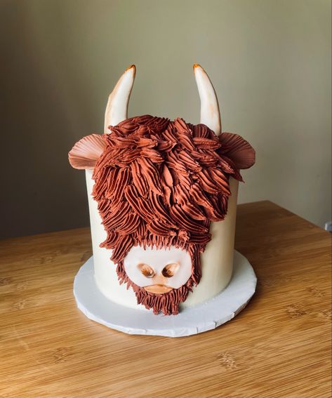 Highland Cow Smash Cake, Guy Birthday Cake, Longhorn Cake, Bull Cake, Highland Cow Cake, Glamorous Wedding Cakes, Cow Birthday Cake, Cow Cake, Cow Cookies