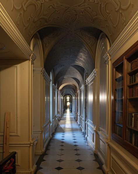 Castle Corridor Aesthetic, Magical Hallway, Corridor Aesthetic, Secret Hallway, Pretty Hallway, Whimsy Academia, Castle Corridor, Castle Hallway, Victoria Mansion