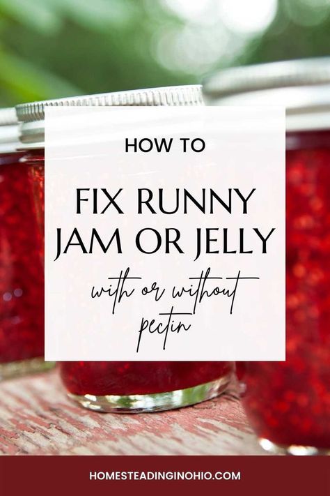 What To Do If Jelly Doesn't Set, How To Fix Runny Jam, How To Fix Runny Jelly, Fixing Runny Jelly, How To Fix Jam That Didn't Set, How To Thicken Jam That Didnt Set, Lemon Jelly Recipe, Sure Jell Freezer Jam, Canning Recipes Jams & Jellies