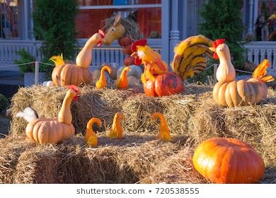 Chicken Pumpkins Decorated, Barnyard Pumpkin Decorating, Farm Themed Pumpkins, Chicken Pumpkin Carving Ideas, Chicken Trunk Or Treat, Halloween Farm Animals, Farm Pumpkin Carving Ideas, Farm Animal Pumpkin Decorating, Farm Pumpkin Decorating