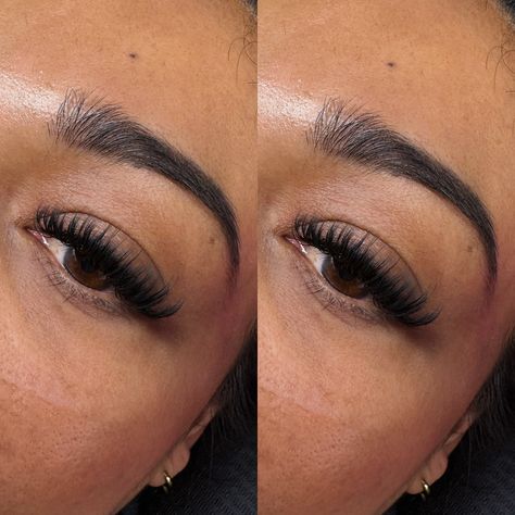 we love natural looking lash extensions too! 🥰 this set was the first time i’ve attempted such advanced techniques and we were obsessed with the outcome! client said the lashes felt extremely light and detailed. and still gave her the results she was looking for. Book a wet set to achieve this look ❤️‍🔥 still accepting new clients! 🫧🫶🏼 📍NE Heights, Abq NM #fy #explorepage #lashextensions #lashes2fab #albuquerquelashes #abqlashes #abqlashtech #lashesabq #nmlashes #volumelashes #wispylash... Light Volume Lash Extensions, Natural Looking Lash Extensions, Accepting New Clients, Wet Set, Volume Lash Extensions, Wispy Lashes, New Clients, Love Natural, Volume Lashes