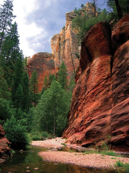 A classic and stunning scene that you can look forward to if you hike West Fork in Oak Creek Canyon. The green trees, babbling Oak Creek and towering sandstone formations all around you make for one serene setting. The entire West Fork trail is 14 miles long, but most day hikers turn around at the 3.3 mile mark. #hiking #sedonahikes #sedonamonthly #sedonahiking #westfork #redrockcountry Coconino National Forest, Kenting, Oak Creek Canyon, Zhangjiajie, Arizona Travel, Red Rocks, Photography Equipment, Road Trip Usa, Pine Trees