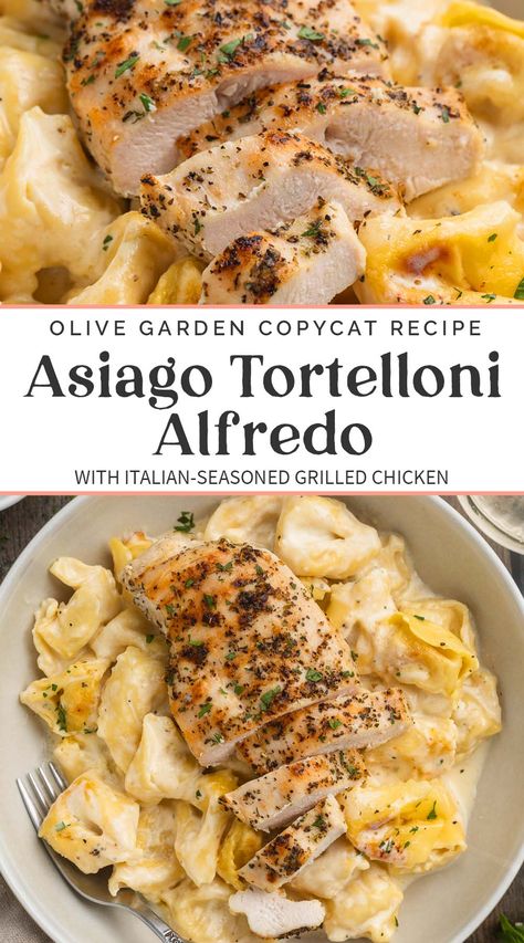 Pasta With Chicken, Recipes For One, Tortellini Recipes, Pasta Dinners, Pasta Dinner Recipes, Asiago, Olive Garden, Chicken Dishes Recipes, Recipes Chicken