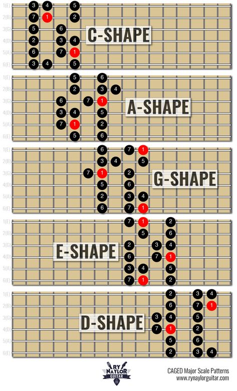 Major Scales Guitar, Major Scale Guitar Patterns, Chord Shapes Guitar, E Major Scale Guitar, G Major Scale Guitar, Guitar Caged System, A Major Scale Guitar, Guitar Major Scale, Caged Guitar System