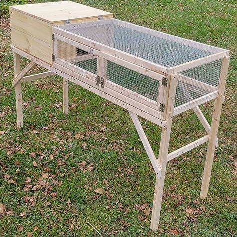 Rabbit Chicken Coop, Quail House Diy, Diy Quail Coop Simple, Easy Diy Quail Coop, Easy Quail Coop, Quails Cage, Quail Setup, Quail Cage Ideas, Quail Hutch Diy