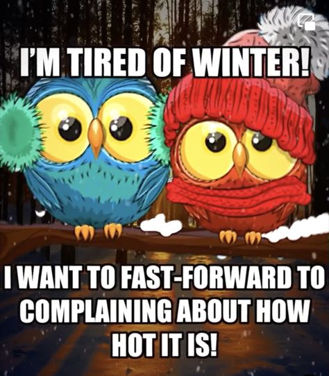 Cold Weather Humor, Cold Humor, Cold Weather Funny, Cold Weather Quotes, Winter Jokes, Winter Humor, Kid Jokes, Good Morning Winter, Funny Happy Birthday Wishes