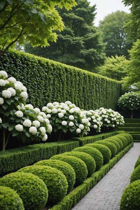 Luxury Backyard Garden, Front Garden Hydrangea, Small Hydrangea Garden, Stunning Garden Design, Garden Flower Design, Boxwoods And Hydrangeas Front Of House, Buxus Garden Ideas, Incrediball Hydrangea Landscaping, White Hydrangea Landscaping